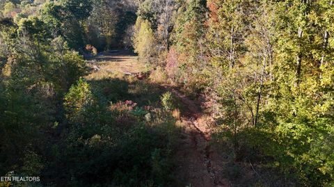 Tiny photo for 00 Geren Subdivision Lane, Decatur, TN 37322 (MLS # 1319406)