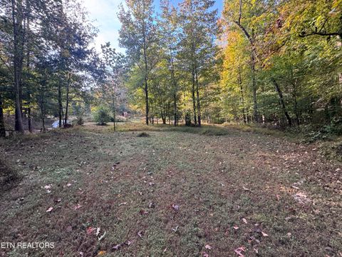 Tiny photo for 00 Geren Subdivision Lane, Decatur, TN 37322 (MLS # 1319406)