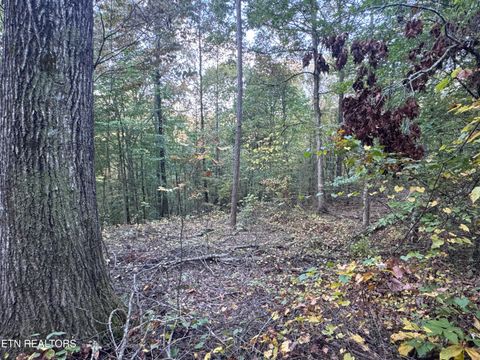 Tiny photo for 00 Geren Subdivision Lane, Decatur, TN 37322 (MLS # 1319406)