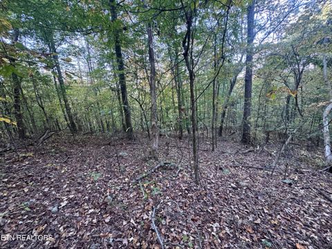 Tiny photo for 00 Geren Subdivision Lane, Decatur, TN 37322 (MLS # 1319406)