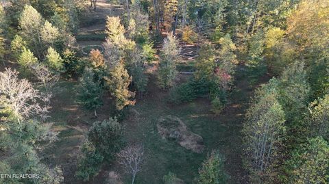 Tiny photo for 00 Geren Subdivision Lane, Decatur, TN 37322 (MLS # 1319406)