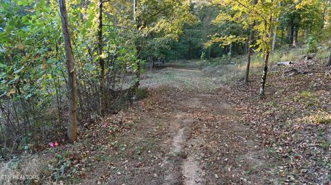 Tiny photo for 00 Geren Subdivision Lane, Decatur, TN 37322 (MLS # 1319406)