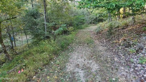 Tiny photo for 00 Geren Subdivision Lane, Decatur, TN 37322 (MLS # 1319406)