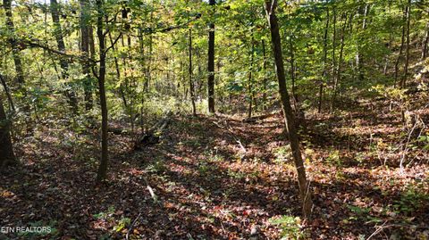 Tiny photo for 00 Geren Subdivision Lane, Decatur, TN 37322 (MLS # 1319406)