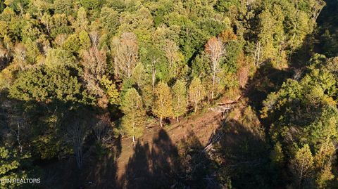 Tiny photo for 00 Geren Subdivision Lane, Decatur, TN 37322 (MLS # 1319406)