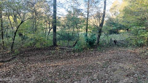 Tiny photo for 00 Geren Subdivision Lane, Decatur, TN 37322 (MLS # 1319406)