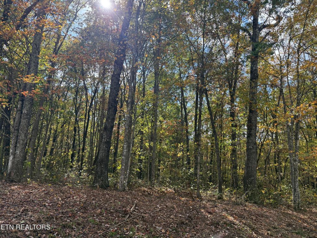 Photo of Picket Park Hwy Hwy, Jamestown, TN 38556 (MLS # 1323951)
