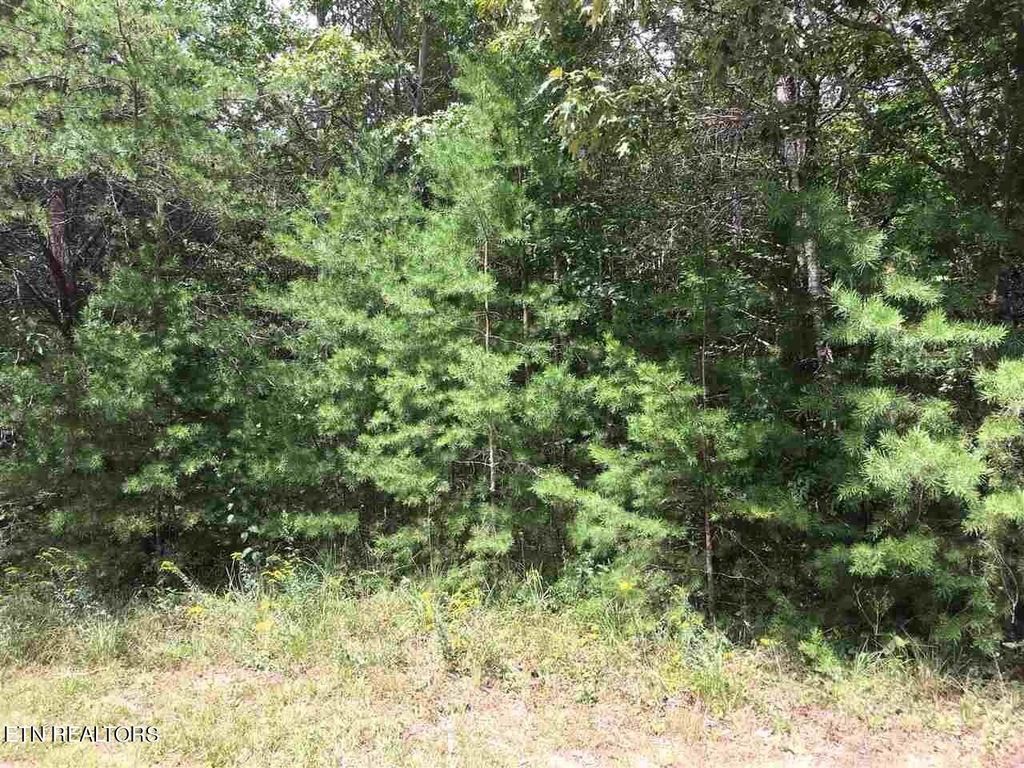 Photo of Crest View Drive, Sunbright, TN 37872 (MLS # 1276070)