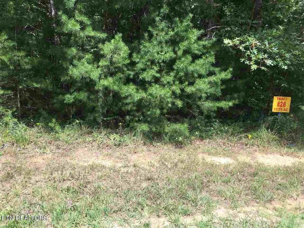 Photo of Crest View Drive, Sunbright, TN 37872 (MLS # 1276070)