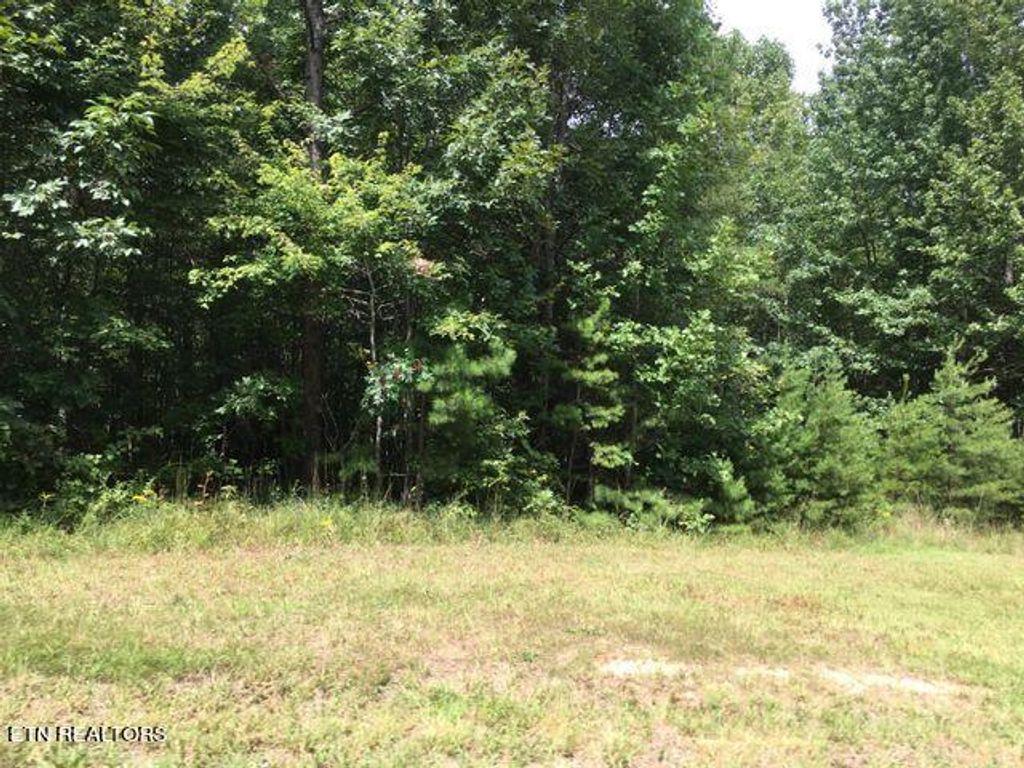 Photo of Crest View Drive, Sunbright, TN 37872 (MLS # 1276070)