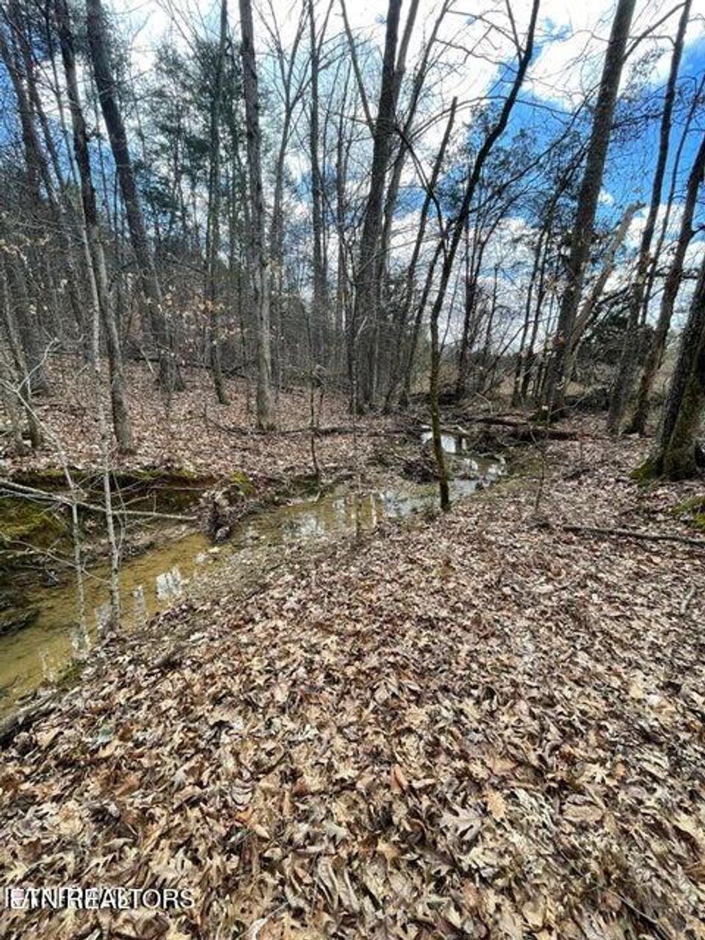 Photo of 3908 E Raccoon Valley Drive, Powell, TN 37849 (MLS # 1327905)