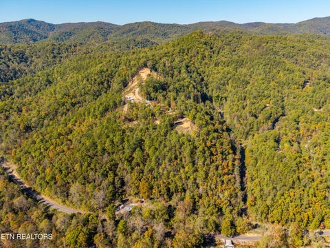 Tiny photo for Patty View Way, Sevierville, TN 37862 (MLS # 1359928)