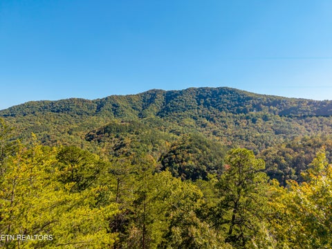 Tiny photo for Patty View Way, Sevierville, TN 37862 (MLS # 1359928)