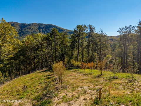 Tiny photo for Patty View Way, Sevierville, TN 37862 (MLS # 1359928)