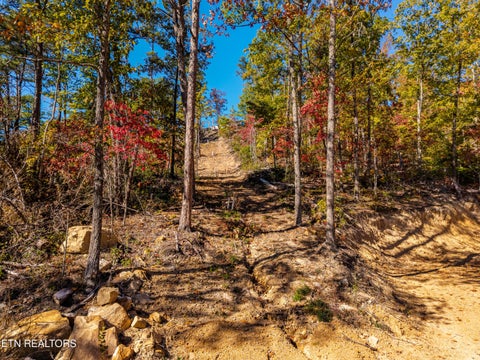 Tiny photo for Patty View Way, Sevierville, TN 37862 (MLS # 1359928)