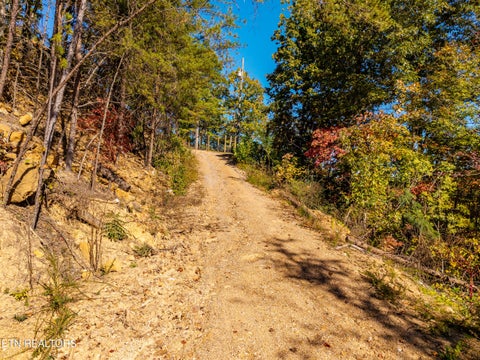 Tiny photo for Patty View Way, Sevierville, TN 37862 (MLS # 1359928)