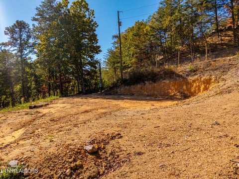 Tiny photo for Patty View Way, Sevierville, TN 37862 (MLS # 1359928)