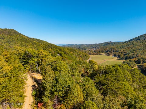 Tiny photo for Patty View Way, Sevierville, TN 37862 (MLS # 1359928)