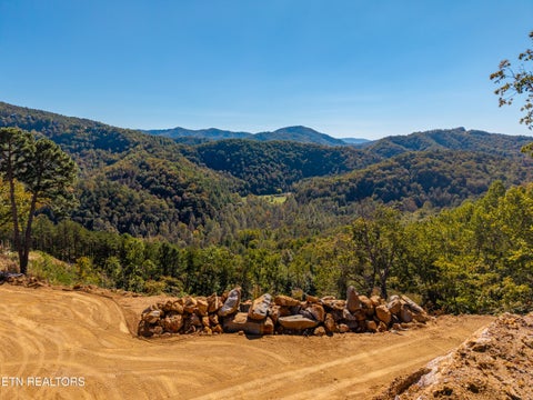 Tiny photo for Patty View Way, Sevierville, TN 37862 (MLS # 1359928)