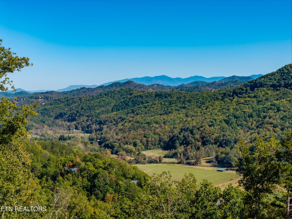 Photo of Patty View Way, Sevierville, TN 37862 (MLS # 1359928)