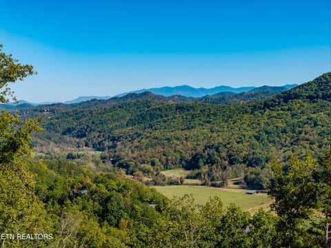 Photo of Patty View Way, Sevierville, TN 37862 (MLS # 1359928)