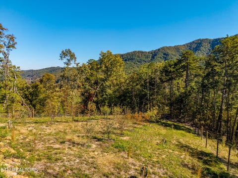 Tiny photo for Patty View Way, Sevierville, TN 37862 (MLS # 1359928)