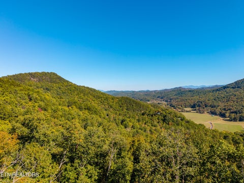 Tiny photo for Patty View Way, Sevierville, TN 37862 (MLS # 1359928)