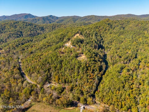 Tiny photo for Patty View Way, Sevierville, TN 37862 (MLS # 1359928)