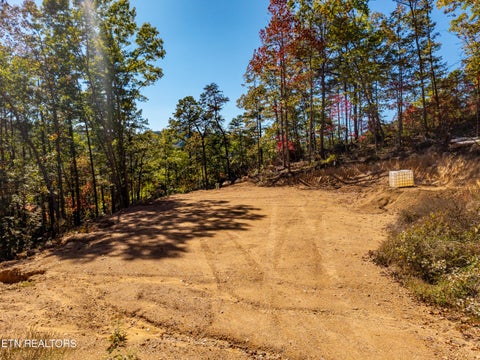 Tiny photo for Patty View Way, Sevierville, TN 37862 (MLS # 1359928)