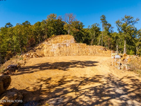 Tiny photo for Patty View Way, Sevierville, TN 37862 (MLS # 1359928)
