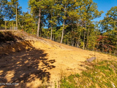 Tiny photo for Patty View Way, Sevierville, TN 37862 (MLS # 1359928)