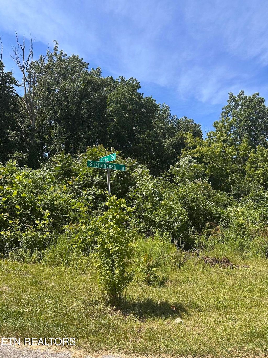 Photo of 3447 Shenandoah Lane, Cookeville, TN 38506 (MLS # 1343566)
