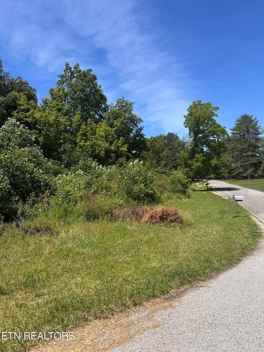 Photo of 3447 Shenandoah Lane, Cookeville, TN 38506 (MLS # 1343566)