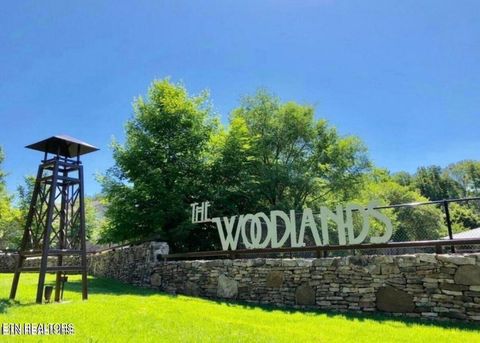 Tiny photo for 1130 Tree Top Way #1333, Knoxville, TN 37920 (MLS # 1336883)