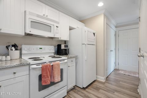 Tiny photo for 1130 Tree Top Way #1333, Knoxville, TN 37920 (MLS # 1336883)