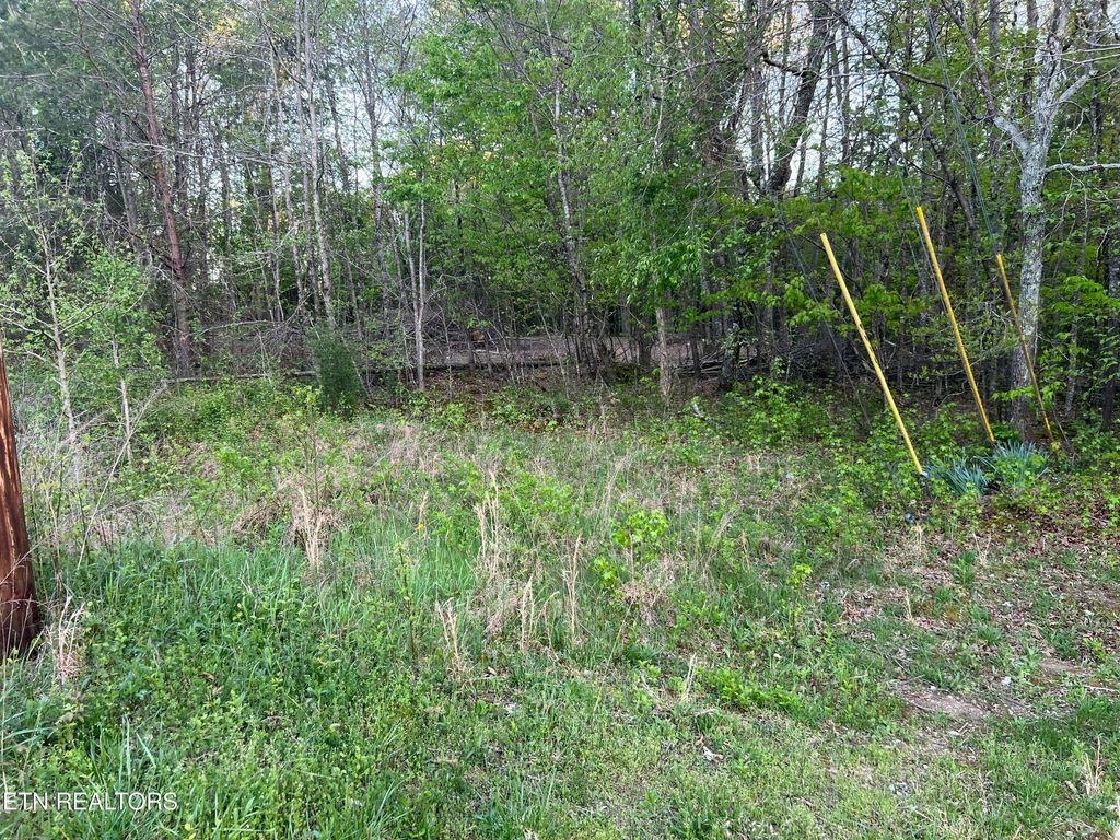 Photo of 246 Burke Mill Rd, Rockwood, TN 37854 (MLS # 1297589)