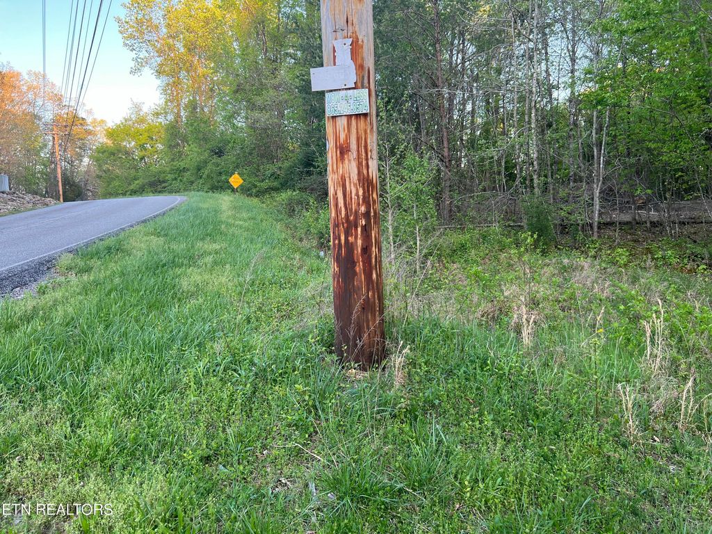 Photo of 246 Burke Mill Rd, Rockwood, TN 37854 (MLS # 1297589)