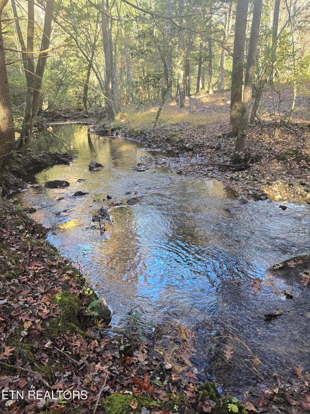 Photo of 373 Georgee Rd, Jamestown, TN 38556 (MLS # 1321346)