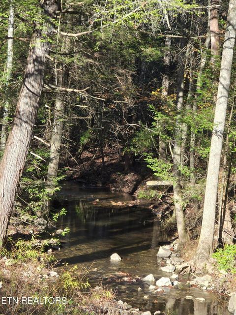 Photo of 373 Georgee Rd, Jamestown, TN 38556 (MLS # 1321346)