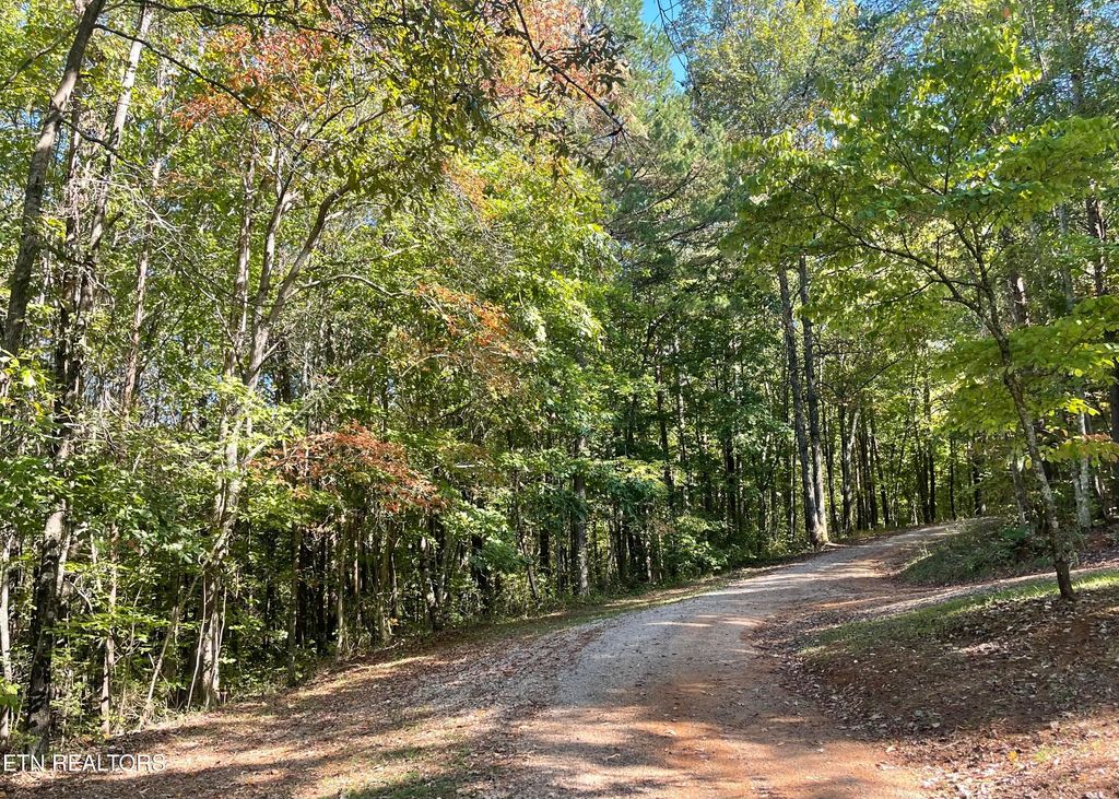 Photo of 540 New Providence Rd, Tellico Plains, TN 37385 (MLS # 1279306)