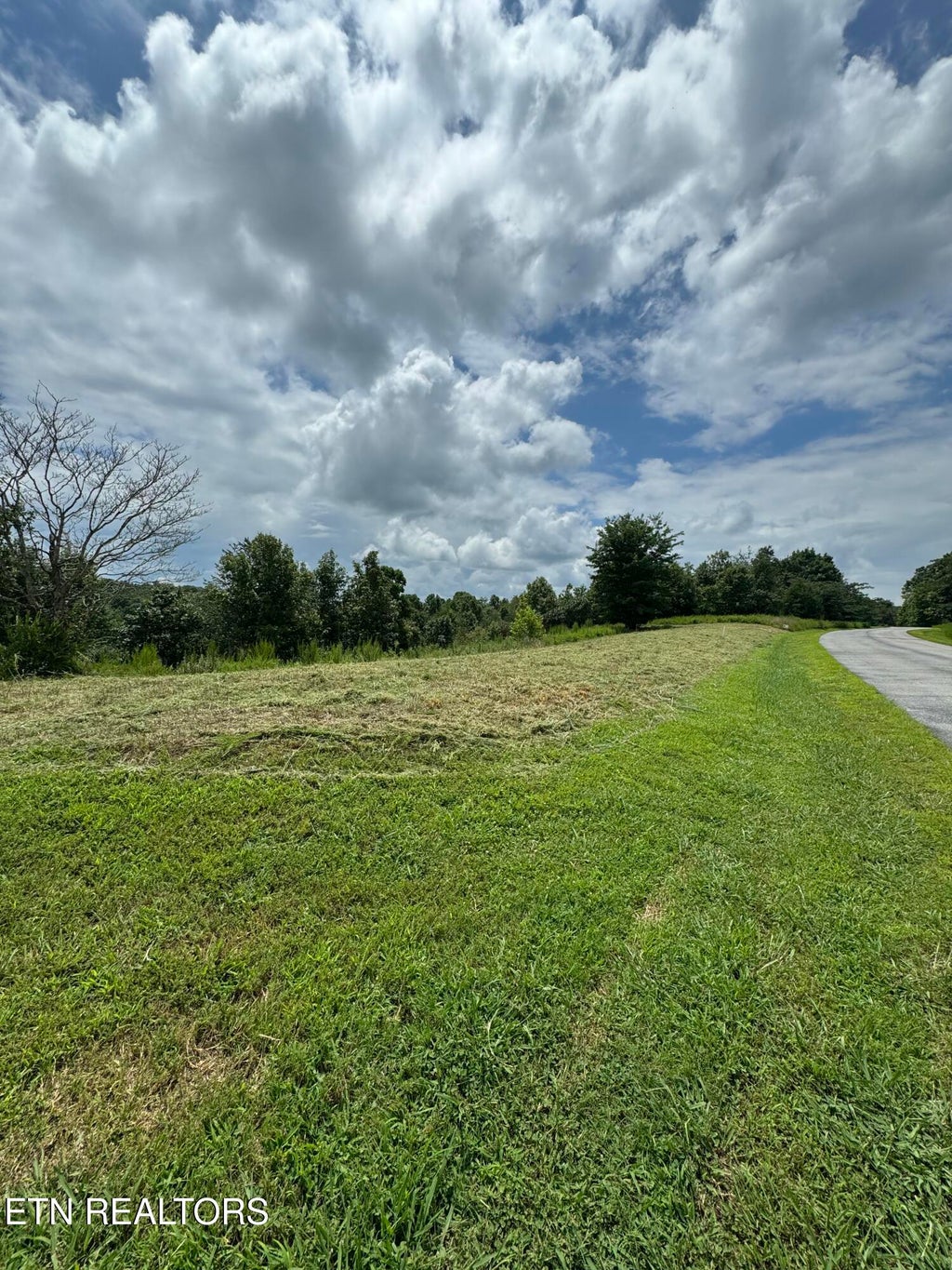 Photo of 126 Emerald Pointe Circle, Rockwood, TN 37854 (MLS # 1349440)