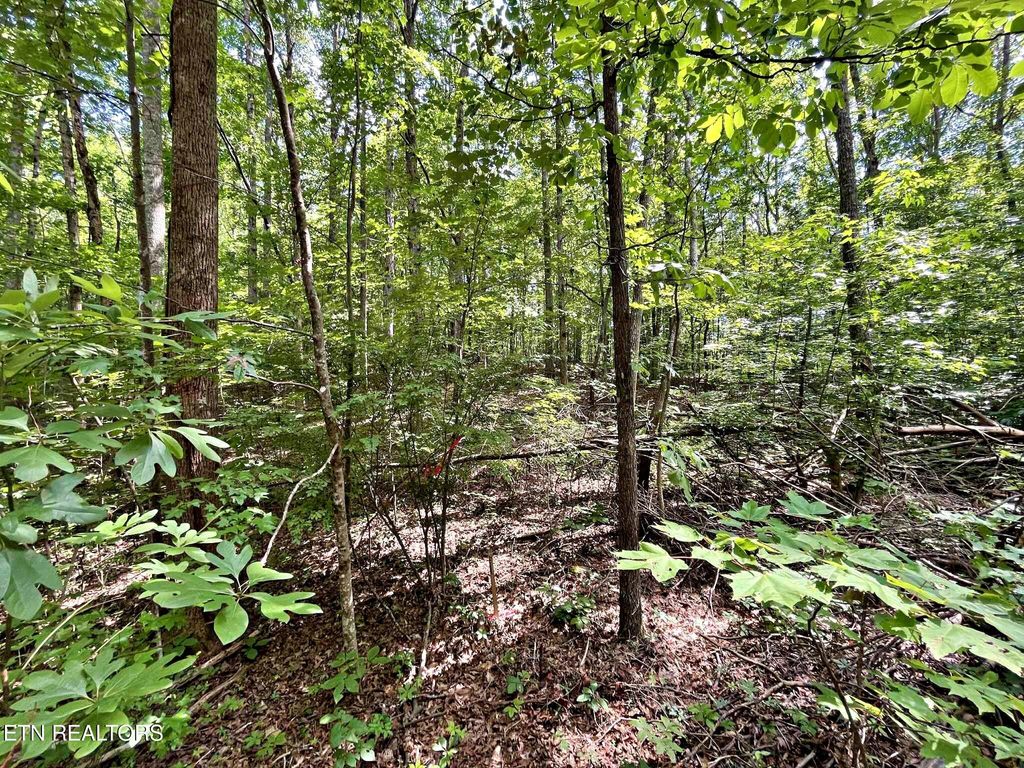 Photo of 6 Raby Hollow Road, Kingston, TN 37763 (MLS # 1307580)