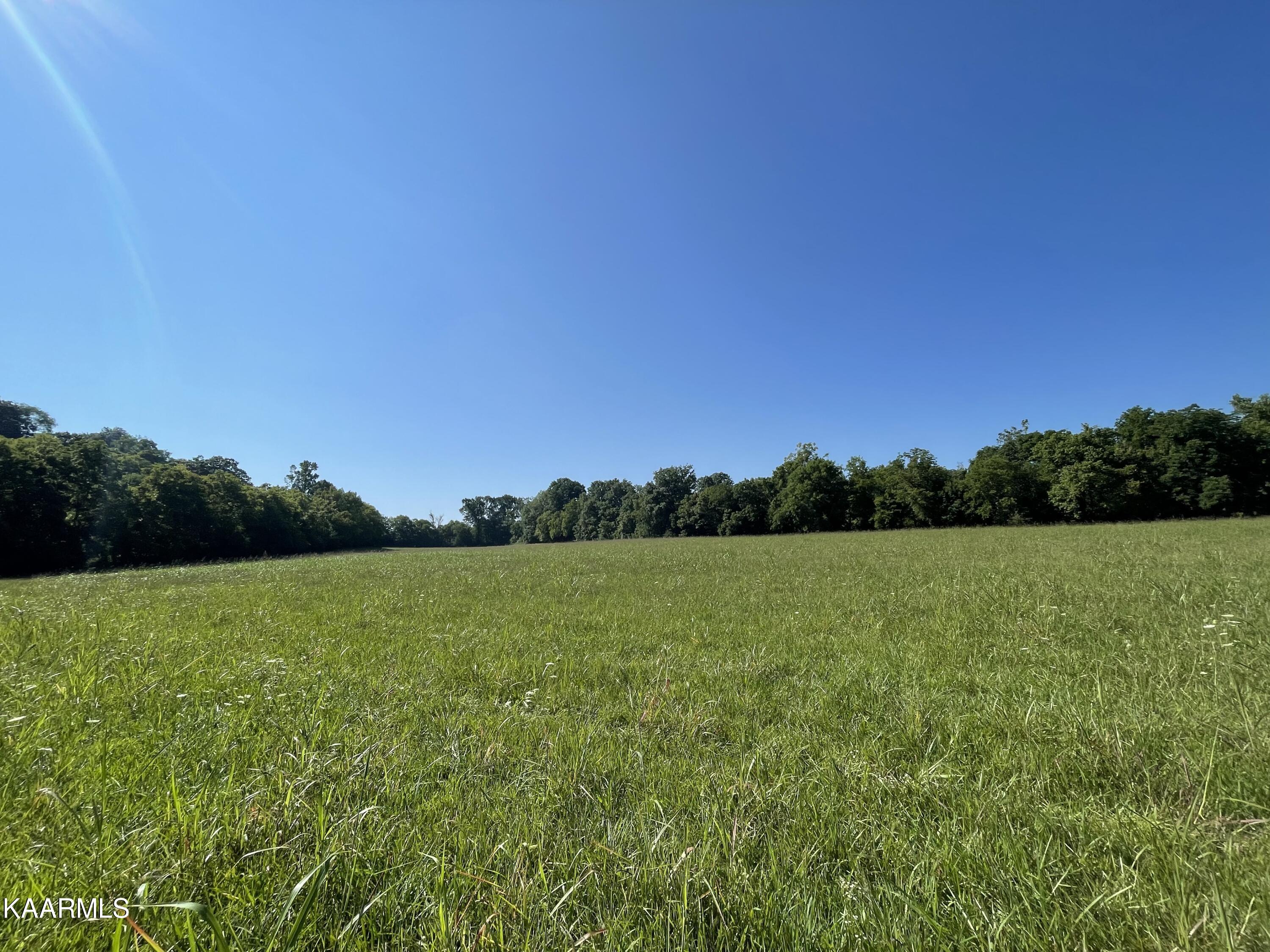 Tract 2 Martin Mill (6.537 Acres) Pike