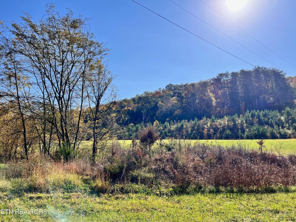 Photo of Lone Mountain Rd, New Tazewell, TN 37825 (MLS # 1282203)