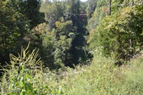 Tiny photo for 2121 Riley Creek Rd, Whitleyville, TN 38588 (MLS # 1355468)