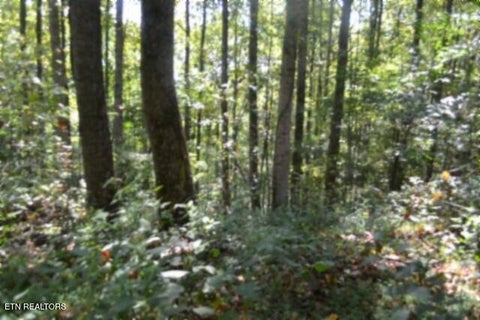 Tiny photo for 2121 Riley Creek Rd, Whitleyville, TN 38588 (MLS # 1355468)