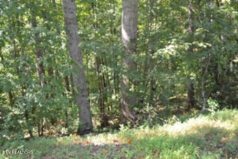 Tiny photo for 2121 Riley Creek Rd, Whitleyville, TN 38588 (MLS # 1355468)