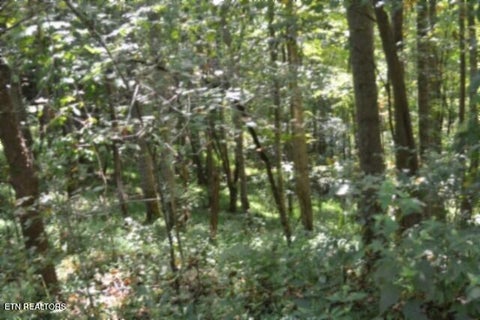 Photo of 2121 Riley Creek Rd, Whitleyville, TN 38588 (MLS # 1355468)