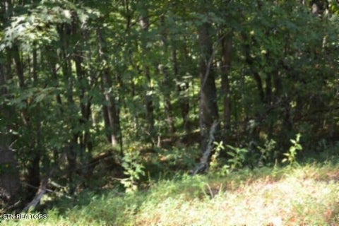 Tiny photo for 2121 Riley Creek Rd, Whitleyville, TN 38588 (MLS # 1355468)