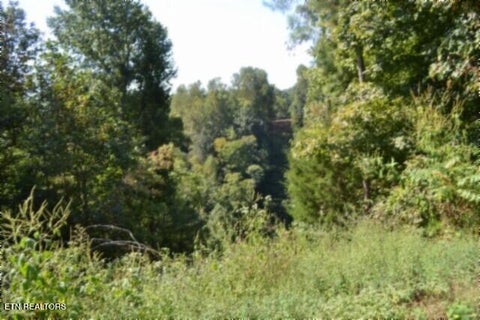 Tiny photo for 2121 Riley Creek Rd, Whitleyville, TN 38588 (MLS # 1355468)